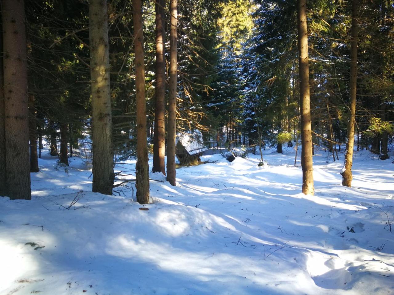 Pokoje Goscinne - Za Borem Zubrzyca Gorna Exterior foto